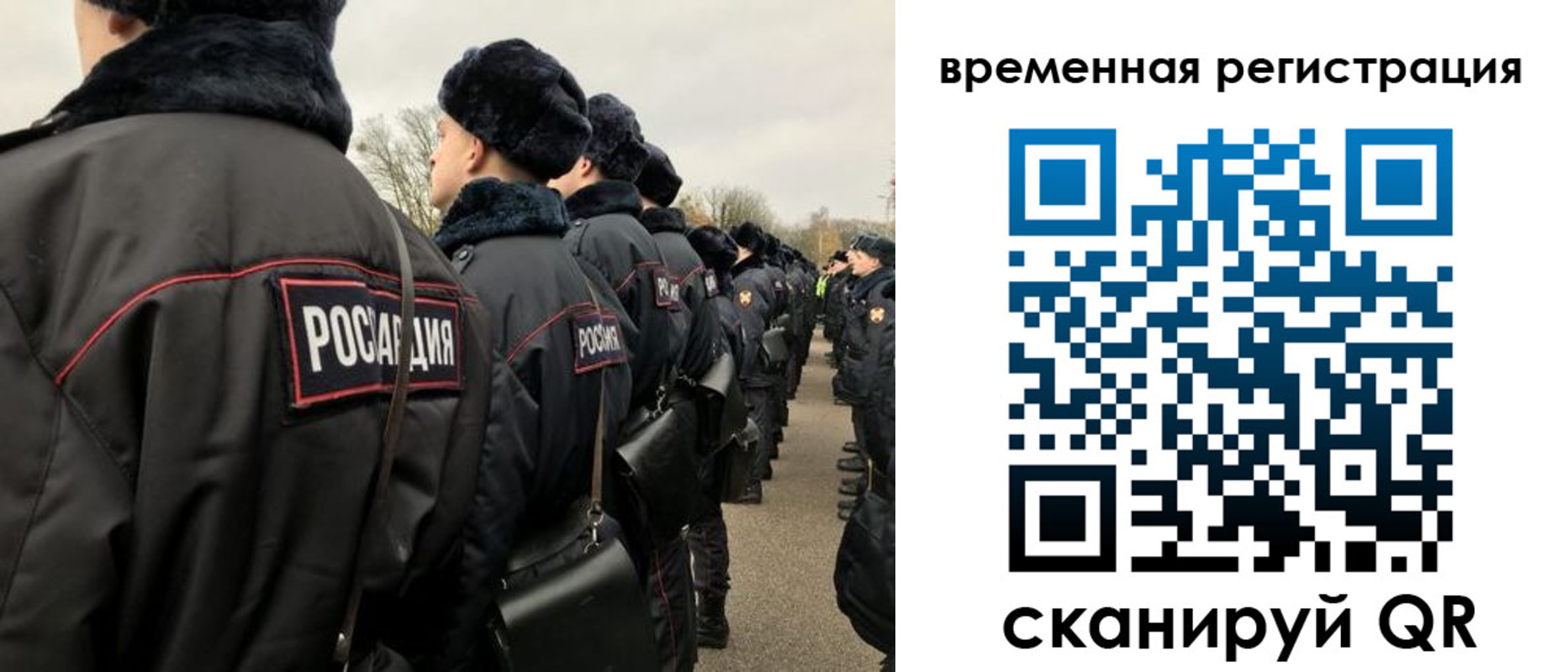 прописка гарантия в Владимире